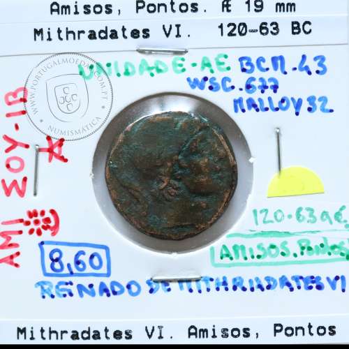 Pontos, Amisos, reino de Mithradates VI, ano 120-63 a.C., Æ19 (Unidade), Pontos ( atual Samsun na Turquia), legenda: AMI-ΣOY IB