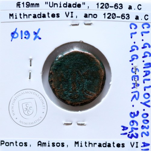 Ancient greeK  coin, Amisos, Pontos. AE19. Mithradates VI. Ca 120-63 BC. Legend: AMI-ΣOY IB