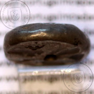 siglos prata, época de Xerxes I - Darius II, 485-420 a.C., Pérsia, Império Persa Aqueménida 550-330 a.C.