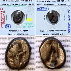 Ancient greeK coin, AR Siglos, Achaemenid Kingdom, time of Artaxerxes I to Darius II, 450-420 B.C.