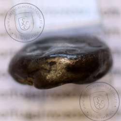 Ancient greeK coin, AR Siglos, Achaemenid Kingdom, time of Artaxerxes I to Darius II, 450-420 B.C.