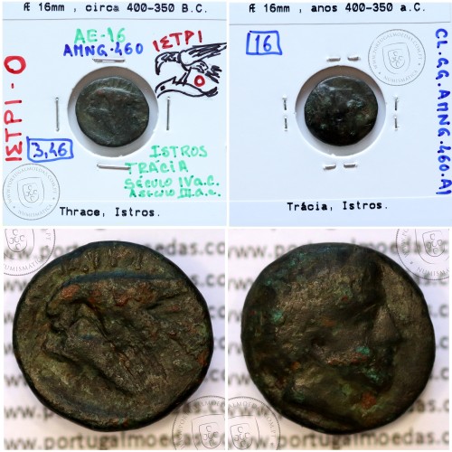 Trácia, Istros. Æ 16mm, ano 400 a 350 a.C., legenda: IΣTΡI - Θ , (AMNG 460)