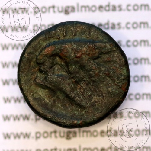 Trácia, Istros. Æ 16mm, ano 400 a 350 a.C., legenda: IΣTΡI - Θ , (AMNG 460)