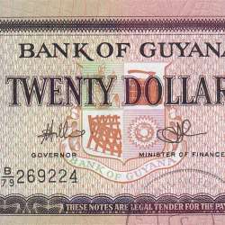 Guyana - 20 Dollars Banknote 1996 (Uncirculated) - Pick 30e1