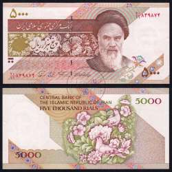 Iran - 5000 Rials Banknote 1993 (Uncirculated) - Pick 145c