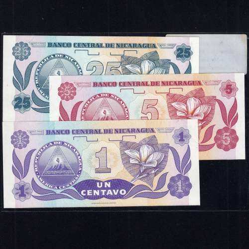 Nicaragua - Lot of 3 Different Banknotes - Series 1991 (Uncirculated)