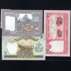 Nepal - Lot of 3 Different Banknotes - Series 1981-2012 (Uncirculated)