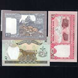 Nepal - Lote de 3 Notas Diferentes - Serie 1981-2012 (Não Circuladas) Nepal - Lote de 3 Notas Diferentes - Serie 1981-2012 (Não Circuladas)