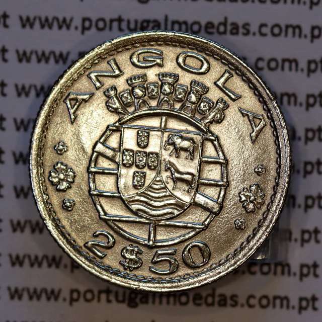 Angola, copper-nickel coin 2.50 Escudos 1953, 2-1/2 Escudos 1953 former Portuguese colony of Angola, World Coins Angola KM 77