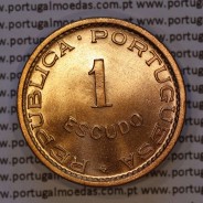 Moçambique, 1 escudo 1968 bronze, Ex-Colónia Portuguesa de Moçambique, (Soberba), World Coins Mozambique KM 82