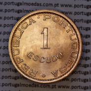 Mozambique, bronze coin of 1 Escudo 1973 of Former Portuguese Colony of Mozambique, (UNC), World Coins Mozambique KM 82