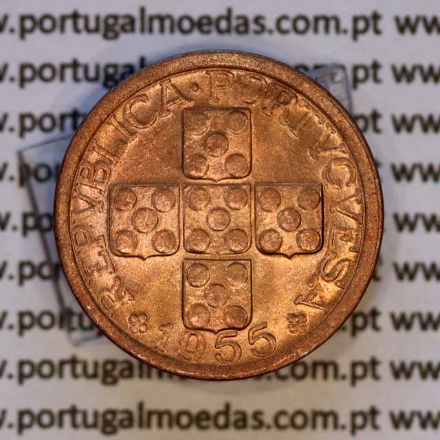 Portugal, bronze coin of 10 centavos 1955 Portuguese Republic, X centavos 1955 Bronze, (UNC), World Coins Portugal KM 583