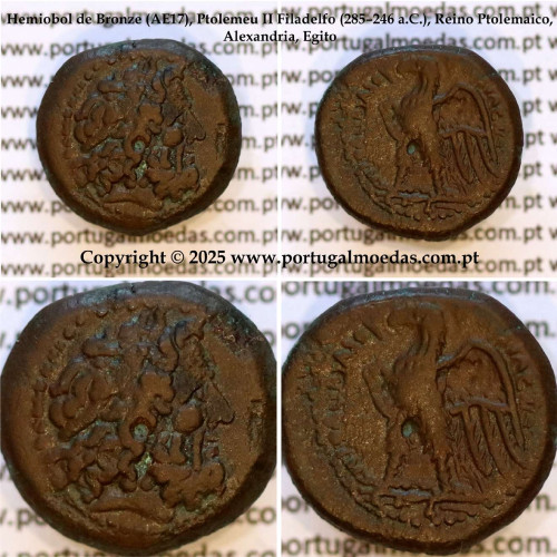 Hemiobol de Bronze (AE17), Ptolemeu II Filadelfo (285–246 a.C.), Reino Ptolemaico, Alexandria, Egito, ΠTOΛΕΜΑΙΟΥ ΒΑΣΙΛΕΩΣ