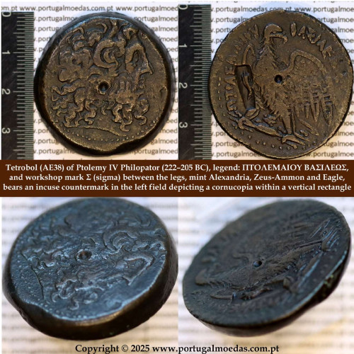 Tetrobol (AE38) de Ptolomeu IV Filopátor,(222–205 a.C.), Alexandria, Zeus-Ammon e Águia com Σ, c/ carimbo: cornucópia