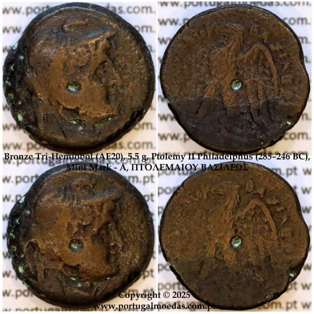 Bronze Tri-Hemiobol (AE20), 5.5 g, Ptolemy II Philadelphus (285–246 BC), Mint Mark - A, ΠTOΛΕΜΑΙΟΥ ΒΑΣΙΛΕΩΣ, Rare