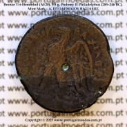 Tri‑Hemiobol (1,5 óbolo) de Bronze (AE20), 5,5 g., Ptolemeu II Filadelfo (285–246 a.C.), Oficina - A, ΠTOΛΕΜΑΙΟΥ ΒΑΣΙΛΕΩΣ, Rara