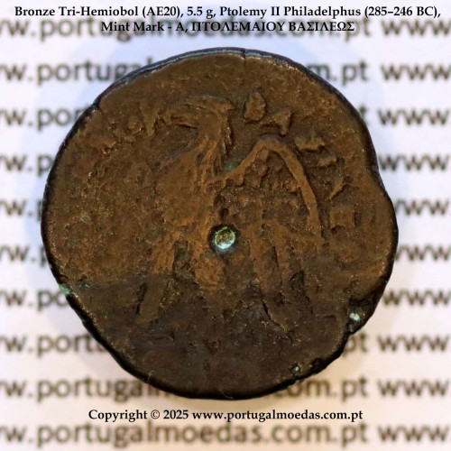 Tri‑Hemiobol (1,5 óbolo) de Bronze (AE20), 5,5 g., Ptolemeu II Filadelfo (285–246 a.C.), Oficina - A, ΠTOΛΕΜΑΙΟΥ ΒΑΣΙΛΕΩΣ, Rara