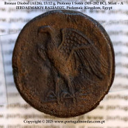 Diobol de Bronze (AE26), 13,12 g., Ptolemeu I Sóter (305–282 a.C.), Oficina - A, ΠTOΛΕΜΑΙΟΥ ΒΑΣΙΛΕΩΣ, Reino Ptolemaico, Egito