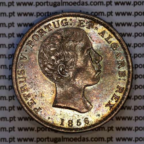 Portugal 500 réis 1856 silver (UNC) — Obverse (brightness variation 1) — Ref. MQ.4D.AG.P5.07.02.A2