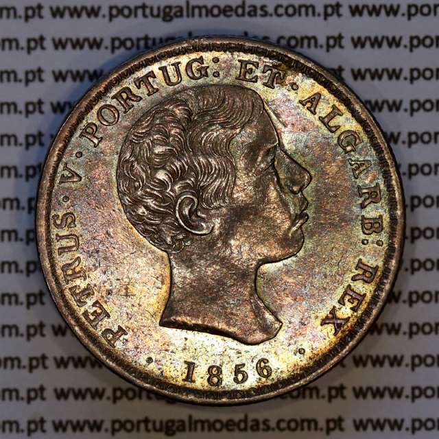 Portugal 500 réis 1856 silver (UNC) — Obverse (brightness variation 1) — Ref. MQ.4D.AG.P5.07.02.A2