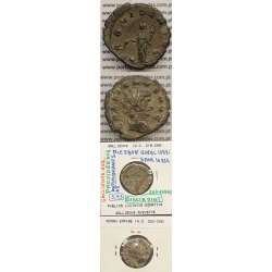 GALLIENUS - ANTONINIANO - GALLIENVS AVG / PROVIDEN AVG (267-268 d.C) (253 d.C A 268 d.C