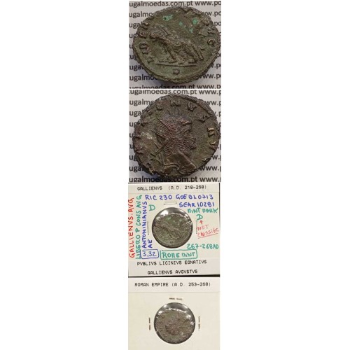GALLIENUS - ANTONINIANO - GALLIENVS AVG / LIBERO P CONS AVG (267-268 d.C) (253 d.C A 268 d.C