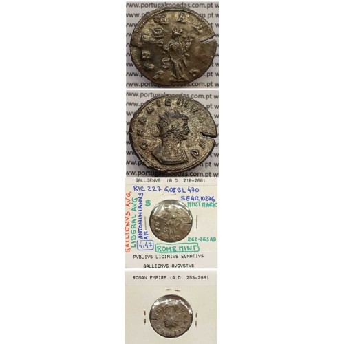 GALLIENUS - ANTONINIANO - GALLIENVS AVG / LIBERAL AVG (262-263 d.C) (253 d.C A 268 d.C