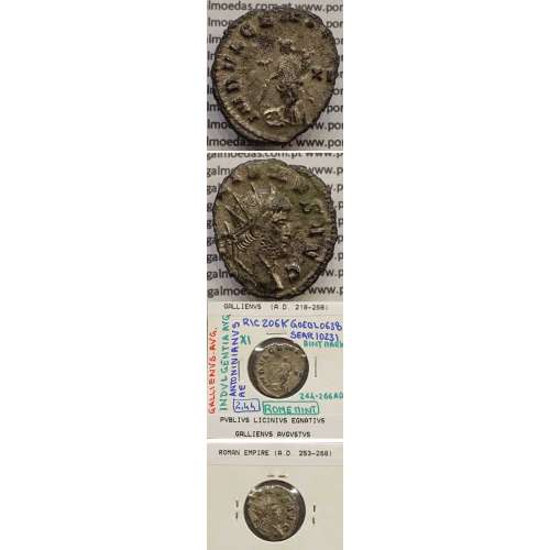 GALLIENUS - ANTONINIANO - GALLIENVS AVG / INDVLGENTIA AVG (264-266 d.C) (253 d.C A 268 d.C )