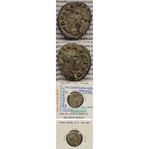GALLIENUS - ANTONINIANO - GALLIENVS AVG / INDVLGENTIA AVG (264-266 d.C) (253 d.C A 268 d.C )