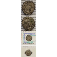 GALLIENUS - ANTONINIANO - GALLIENVS AVG / INDVLGENTIA AVG (264-266 d.C) (253 d.C A 268 d.C )