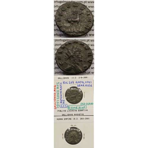 GALLIENUS - ANTONINIANO - GALLIENVS AVG / IOVI CONS AVG (267-268 d.C) (253 d.C A 268 d.C