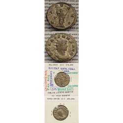 GALLIENUS - ANTONINIANO - GALLIENVS AVG / PAX AVG (260-268 d.C) (253 d.C A 268 d.C )