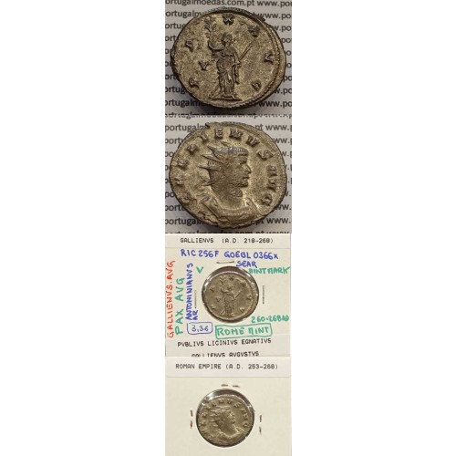 GALLIENUS - ANTONINIANO - GALLIENVS AVG / PAX AVG (260-268 d.C) (253 d.C A 268 d.C )