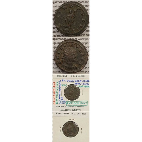 GALLIENUS - ANTONINIANO - GALLIENVS AVG / PM TR P XV PP (264-266 d.C) (253 d.C A 268 d.C