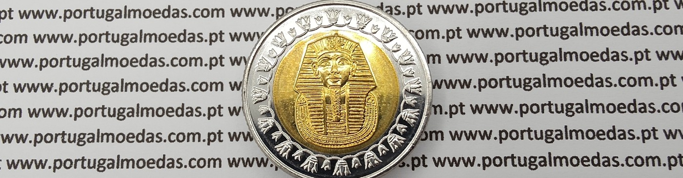 Egypt Coins – Arab Numismatics and Monetary History